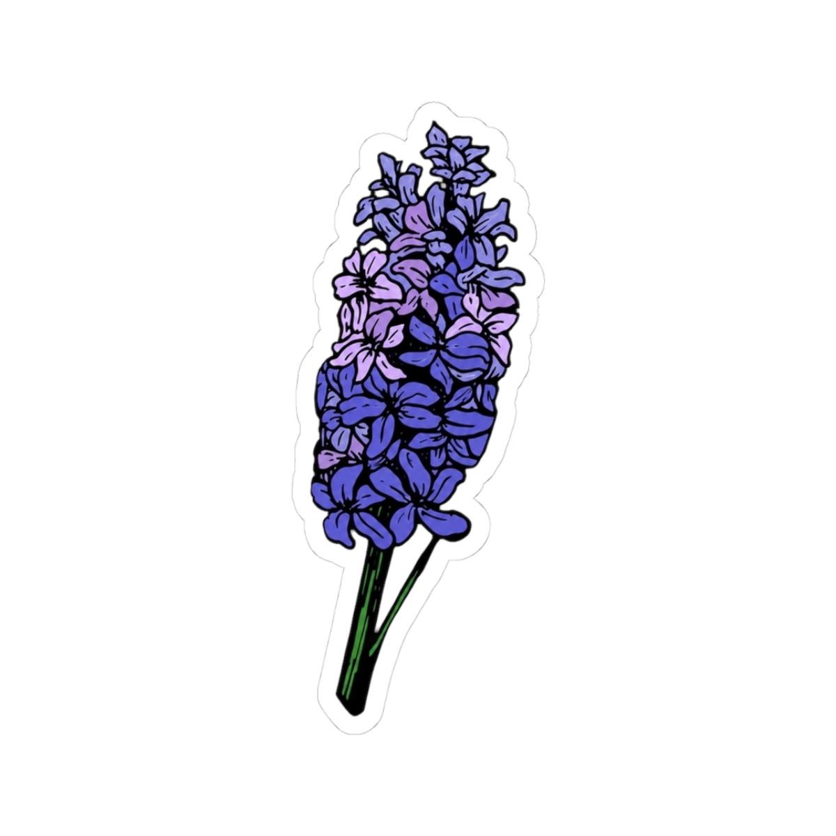 Purple hyacinth